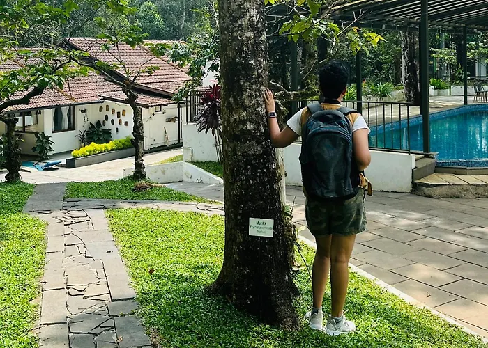 Drey At Druv Dakshin Farm Resort