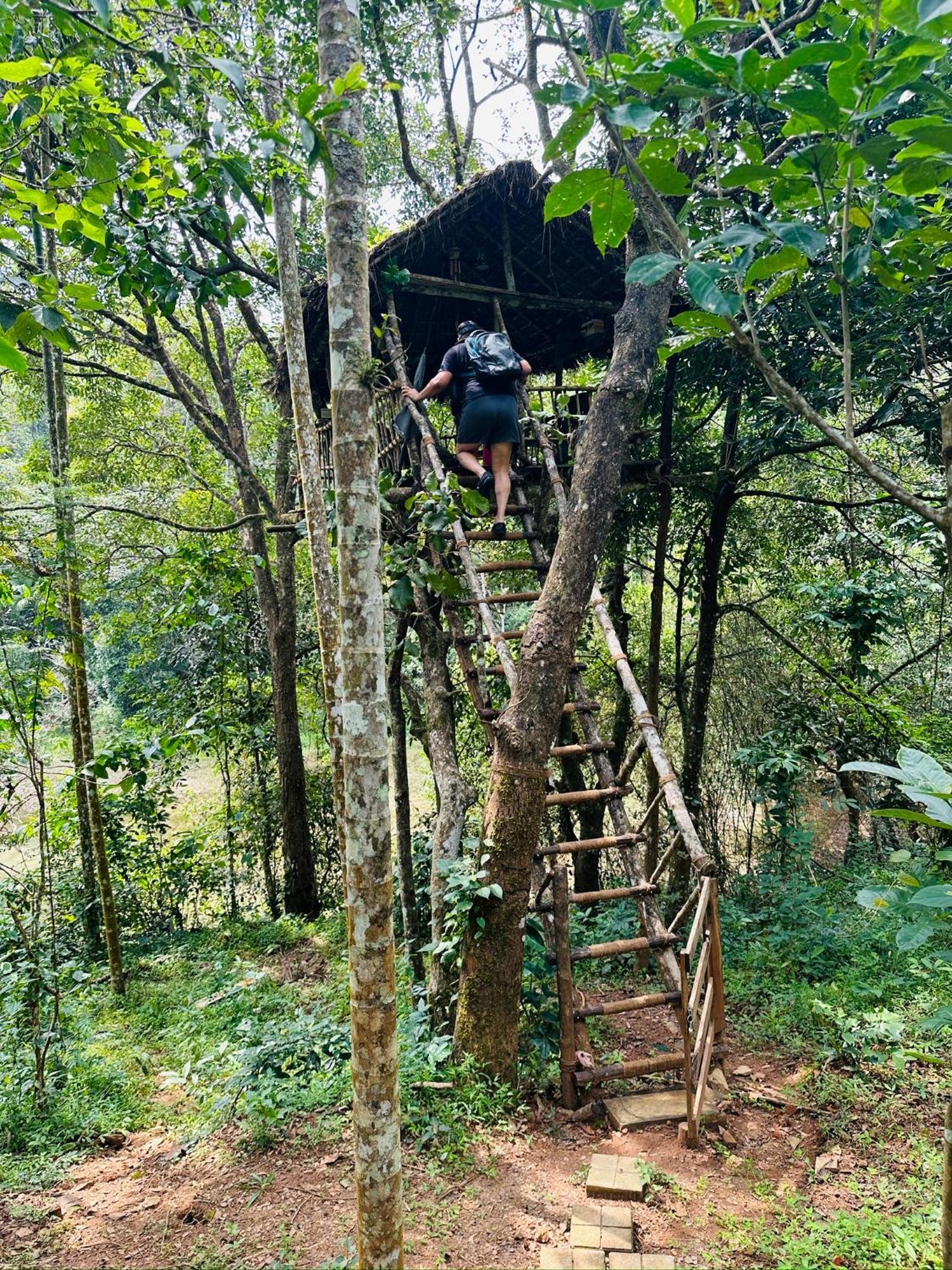 Drey At Druv Dakshin Farm